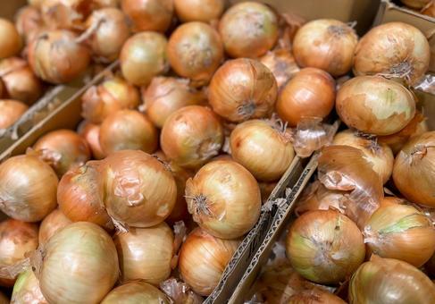 食材・野菜【玉ねぎ】 食材・野菜【玉ねぎ】 玉ねぎ,野菜,食材の写真素材