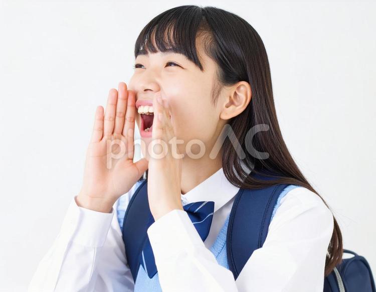 大声で声援を送る女子生徒のイメージ 声援,大声,女子高生の写真素材