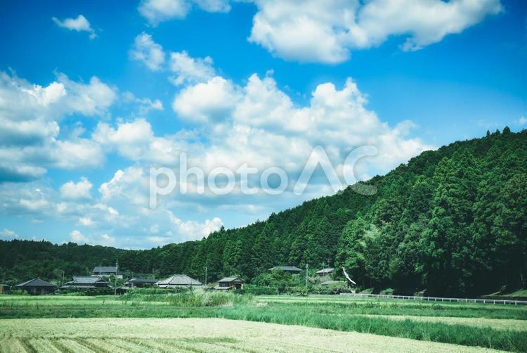 日本の夏の風景 日本,夏,田舎の写真素材
