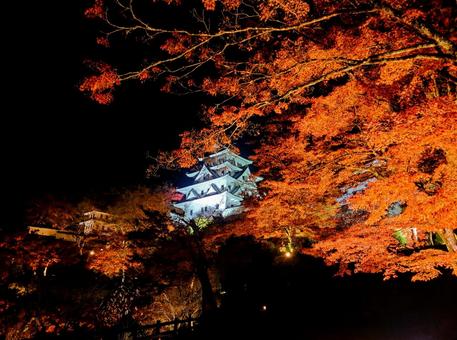 ライトアップされたお城 城郭,天守閣,紅葉の写真素材