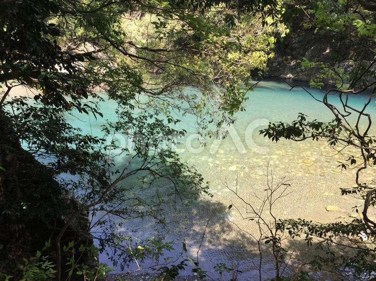 森の中の青い川 自然,川,青の写真素材
