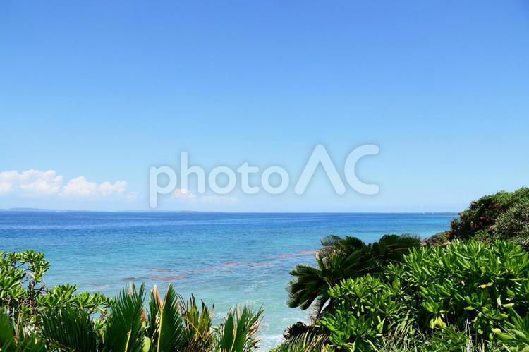 美しい海の風景 海,沖縄,自然の写真素材