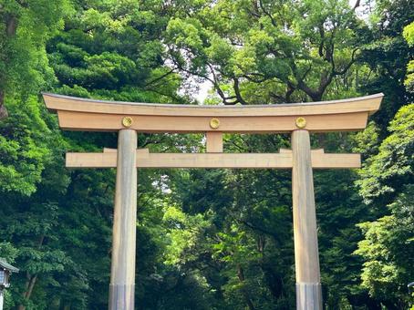 靖国神社の鳥居 靖国神社の鳥居 靖国神社,鳥居,神社の写真素材
