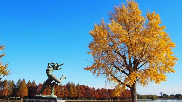 秋の水元公園・銀杏の紅葉＆銅像（葛飾区）の写真