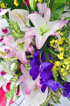 Oriental lilies, Vandas and other flowers, JPG Oriental lilies, Vandas and other flowers, JPG