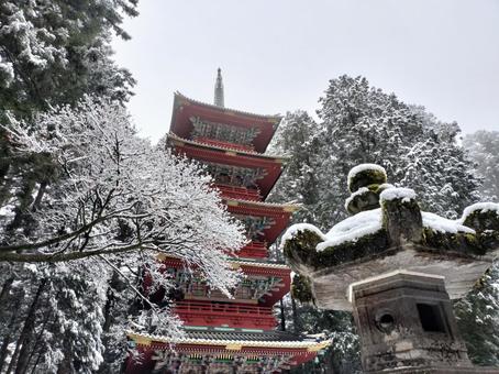 冬の日光東照宮 冬の日光東照宮 の写真