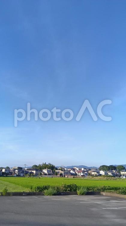  福岡県　博多区 田んぼ,住宅地,空の写真素材