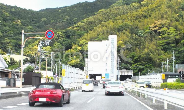 新緑の新日本坂トンネルへ向かう車の列 トンネル,新日本坂トンネル,車の写真素材