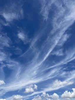 青空と雲a 青空と雲aの写真