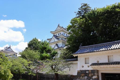 7月下旬の大垣城の天守 7月下旬の大垣城の天守 大垣城,天守,城の写真素材