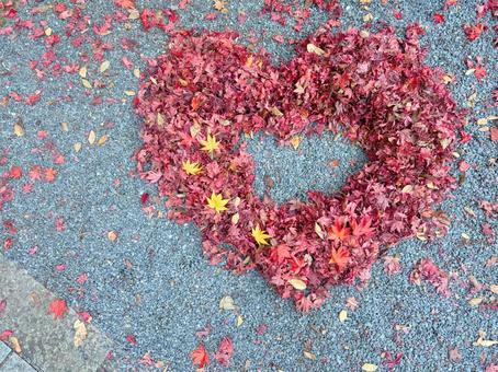もみじで作ったハート1 モミジ,紅葉,ハートの写真素材