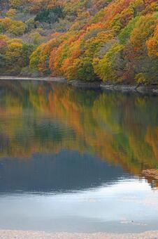 湖畔の紅葉 湖畔の紅葉の写真