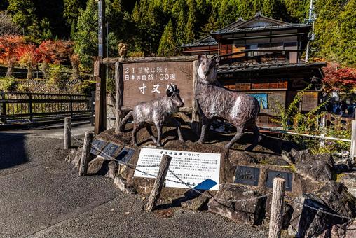 静岡県 寸又峡の秋景色 静岡県 寸又峡の秋景色の写真