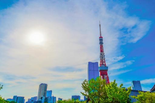 プリンス芝公園から東京タワー プリンス芝公園から東京タワーの写真