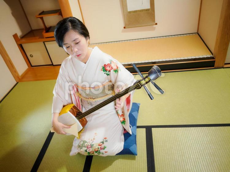 33：和服で三味線を演奏する女性 三味線,着物,伝統芸能の写真素材