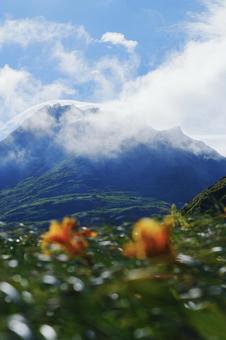 夏山 夏山の写真
