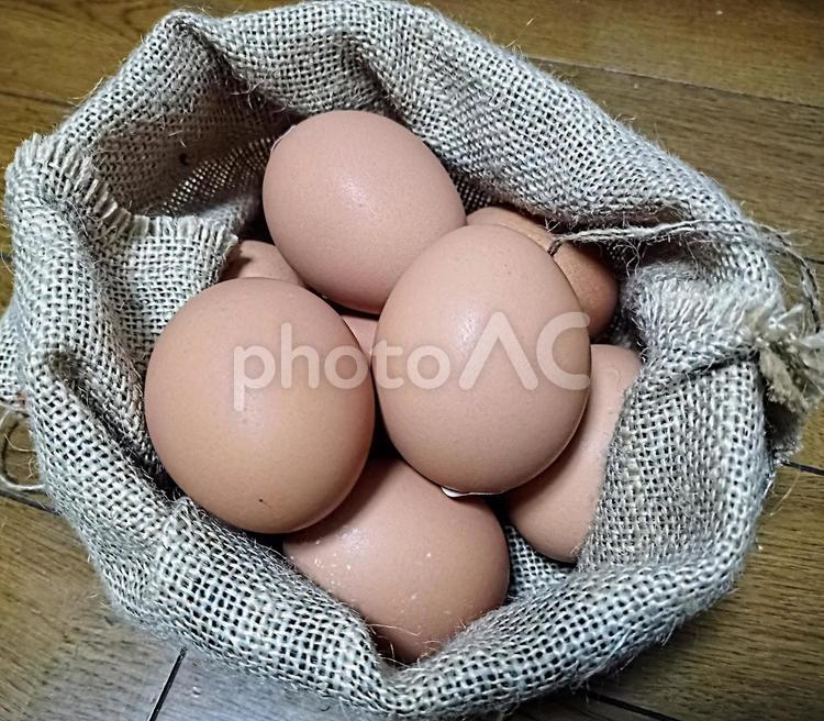 たくさんの赤卵　鶏卵 鶏卵,卵,玉子の写真素材