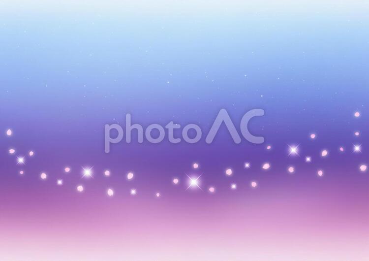 夜桜　煌めく桜吹雪　背景素材（紫×青） 夜桜,煌めく,桜吹雪の写真素材