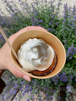 アイスクリームの写真