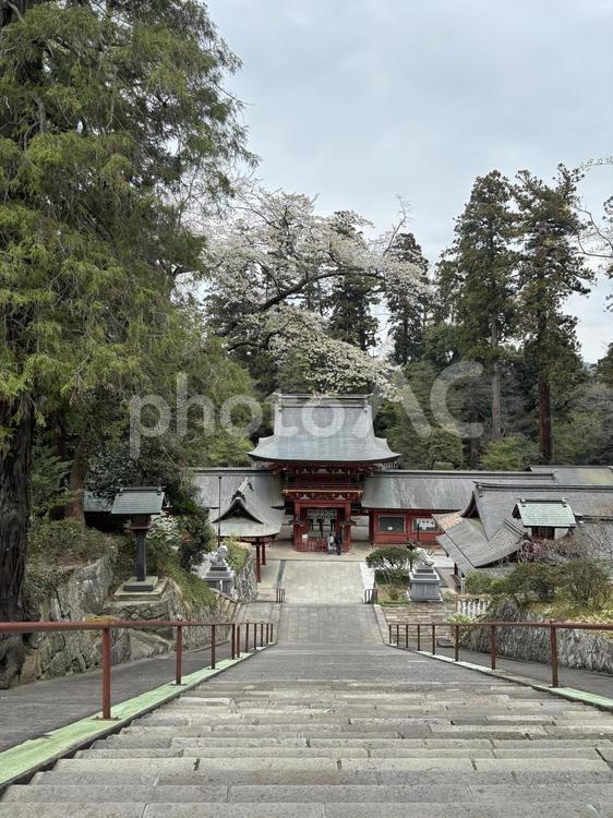 上野国一宮　一之宮貫前神社-3 上野国一宮,一之宮,一之宮貫前神社の写真素材