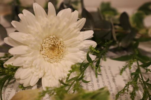 花 花