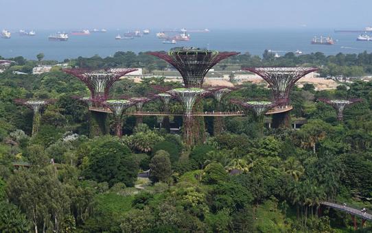 ガーデンズ・バイ・ザ・ベイ ガーデンズ・バイ・ザ・ベイ シンガポール,ガーデン,植物園の写真素材