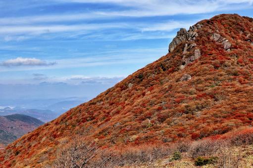 くじゅうの紅葉 くじゅうの紅葉 くじゅう,紅葉,山の写真素材