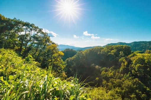 奥大山の煌き、鳥取県日野郡江府町の風景 奥大山の煌き、鳥取県日野郡江府町の風景 鳥取,奥大山,江府町の写真素材