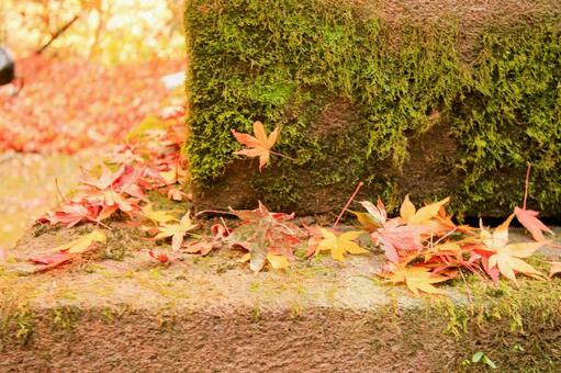 室生寺 室生寺,鎧坂,紅葉の写真素材