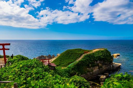 夏の岬と鳥居 石川県,関野鼻,海の写真素材