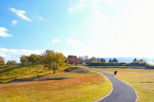 秋の高原② 高原,秋,草原の写真素材