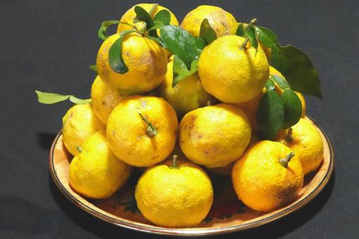 Grapefruit 1, JPG