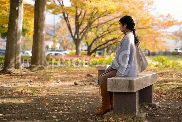 秋の公園で遊ぶ家族・ファミリー 秋,女性,公園の写真素材