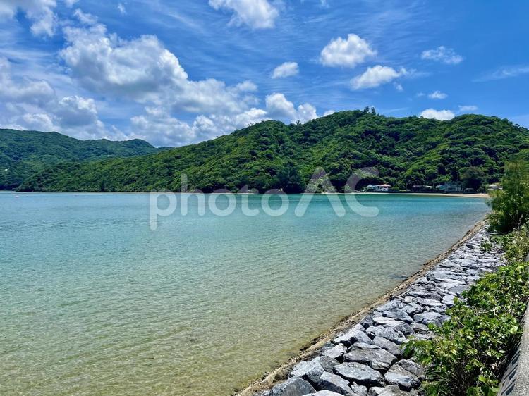 やんばるの森と塩屋湾③ 海,空,風景の写真素材