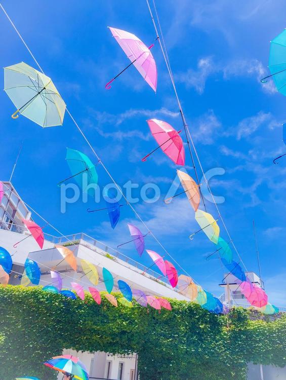 淡路島明石海峡公園　パラソル 淡路島明石海峡公園,パラソル,夏空の写真素材