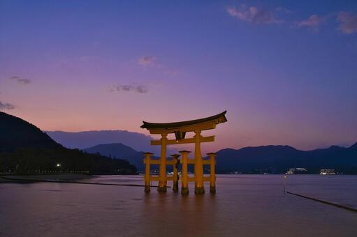 宮島：厳島神社・大鳥居・夕焼け 宮島,厳島神社,日本三景の写真素材