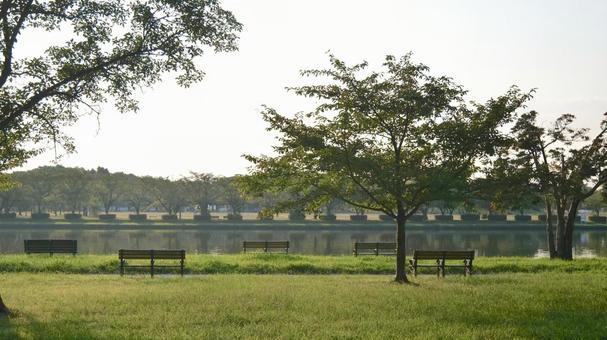 水元公園 公園,自然,ベンチの写真素材