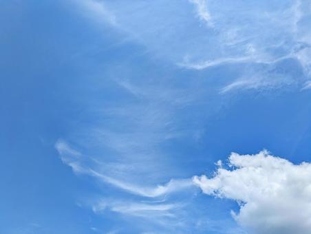 青のキャンバス-88の写真