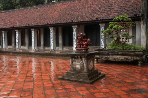 ベトナムの文化遺産 ベトナム,雨,木の写真素材