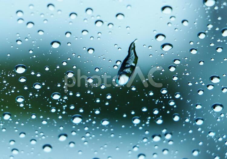 雨のしずく しずく,水滴,雨の写真素材