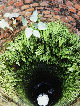 井戸を見下ろす　2 井戸,水,地下の写真素材