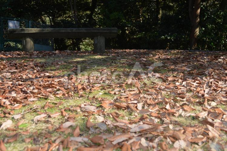 風景　落ち葉の地面とベンチ テクスチャ,落ち葉の地面,ベンチの写真素材