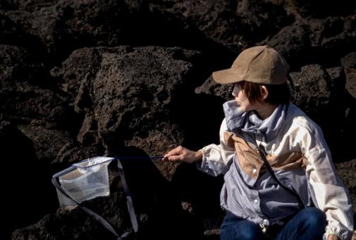 ＜素材＞磯でガサガサ（小魚捕獲）する女性 女性,磯遊び,海の写真素材