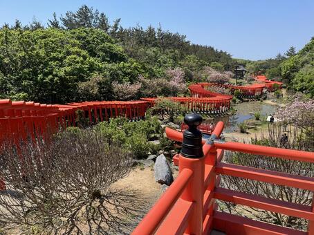 青森県高山稲荷神社 自然,青森県,神社の写真素材