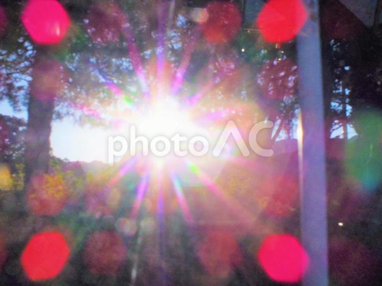 木立の中の眩しい日の光 夕陽,輝き,光線の写真素材