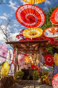 仙台八坂神社(29) 神社,仙台八坂神社,晩秋の写真素材
