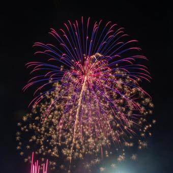 花火 打上げ花火,花火,葛飾納涼花火大会の写真素材