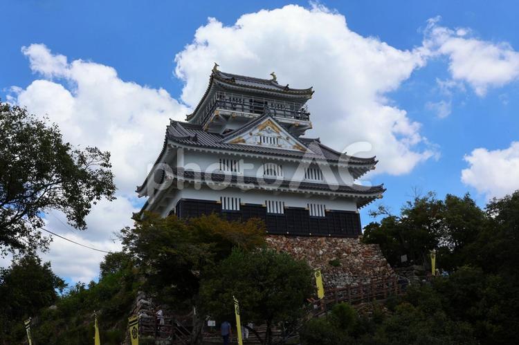 ７月下旬の岐阜城の天守 岐阜城,天守,石垣の写真素材