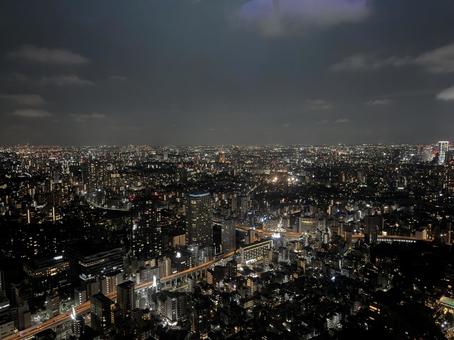 東京夜景 東京夜景の写真