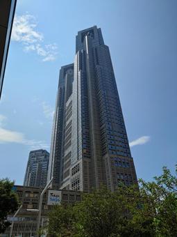 東京都庁 東京都庁 東京,都庁,新宿の写真素材